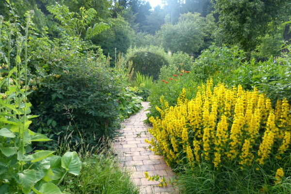 Ukázková přírodní zahrada Chaloupky (foto 1)