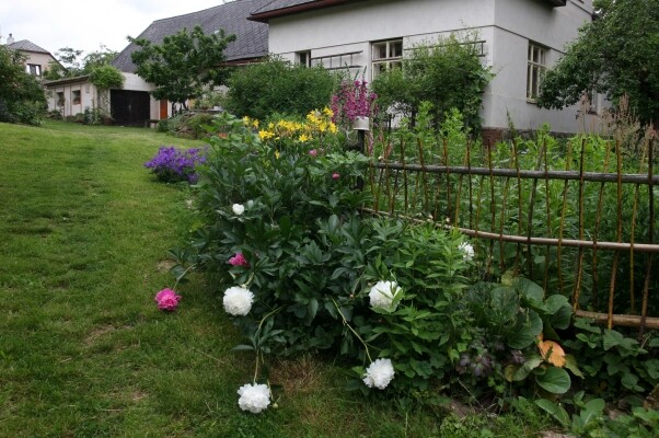 Ukázková přírodní zahrada Peterkovi (foto 1)