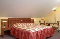 HOTEL U RAUŠŮ (foto 3)