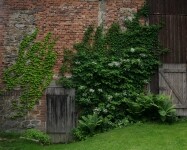 Ukázková přírodní zahrada Peterkovi (foto 2)