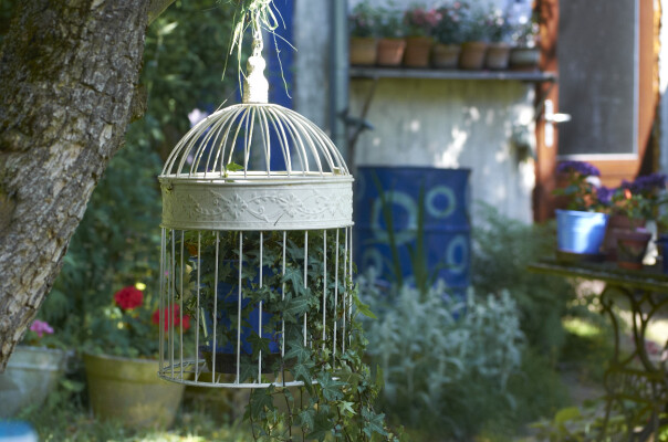 Ukázková přírodní zahrada Stará Říše (foto 1)