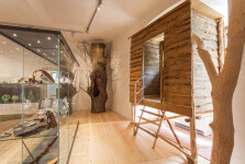 Hrad Roštejn (foto 13)