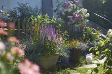 Ukázková přírodní zahrada Stará Říše (foto 8)