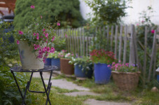 Ukázková přírodní zahrada Stará Říše (foto 9)