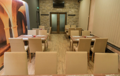 RESTAURACE REBEL NA FARSKÝCH (foto 3)