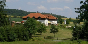 RESTAURACE BOROVINKA Les resort (foto 4)