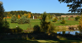 RESTAURACE BOROVINKA Les resort (foto 5)