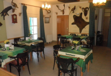 RESTAURACE A PENZION HANÁČEK NEDVĚDICE (foto 2)