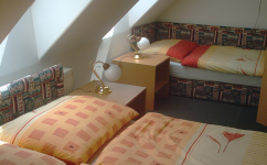 RESTAURACE A PENZION HANÁČEK NEDVĚDICE (foto 3)