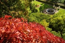 Zámecká zahrada v Náměšti nad Oslavou (foto 2)