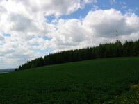 Rozhledna Rosička Sázava (foto 5)