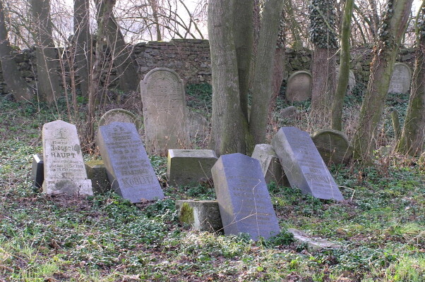 Židovský hřbitov Střítež (foto 1)