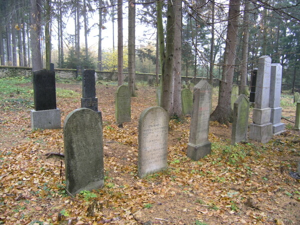 Židovský hřbitov Košetice (foto 1)