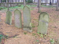 Židovský hřbitov Košetice (foto 2)