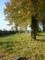 Židovský hřbitov Chotěboř (foto 2)