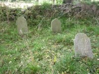 Židovský hřbitov Pavlov (foto 2)