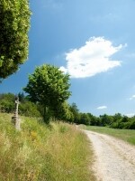 Křížová cesta Třešť (foto 2)