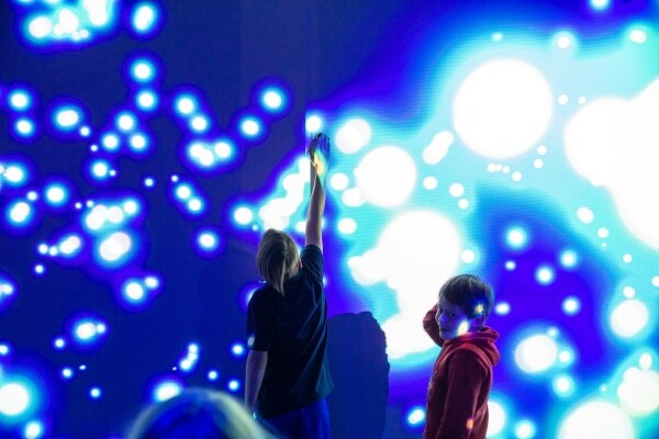 17395196476501-mng-27