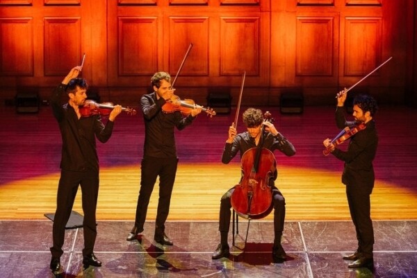 17655491073735-vision