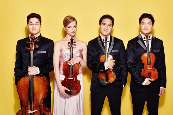 17655493395623-schumann