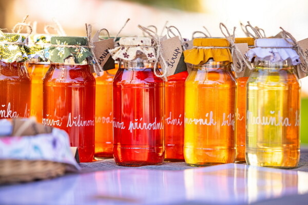 469792486-122165499116259105-475558415865692287-n