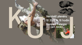 553583589-10163113355015279-8145461084595493130-n