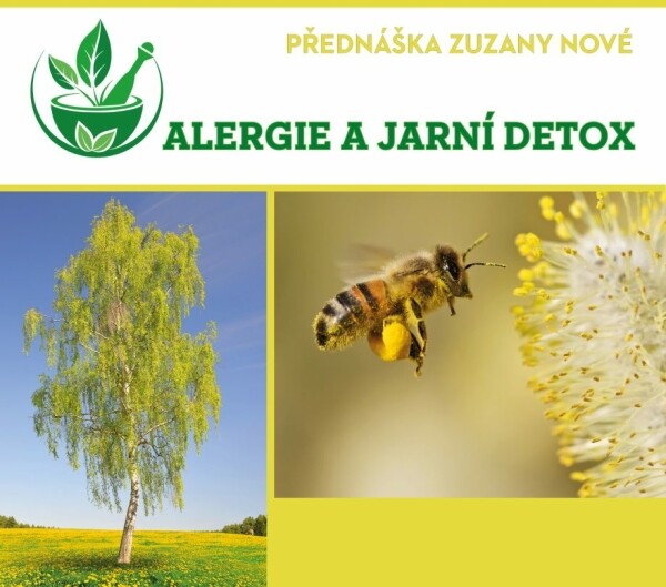 alergie-a-jarni-detox