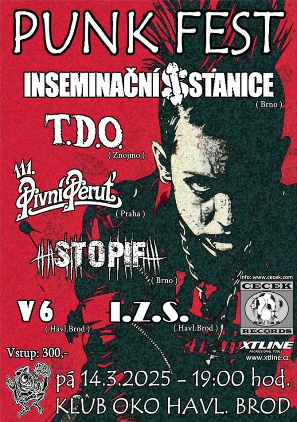 ceckuv-punk-fest