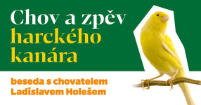 chov-kanara-nmnm-2024-03-14-web-fb-1200x629px-03-1