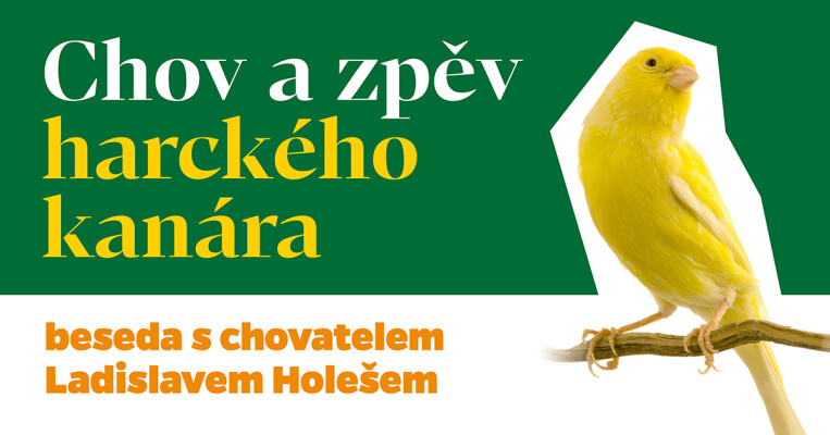 chov-kanara-nmnm-2024-03-14-web-fb-1200x629px-03