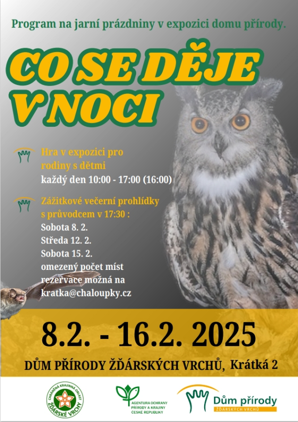 co-se-deje-v-noci