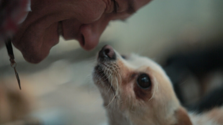 everything-needs-to-live-1