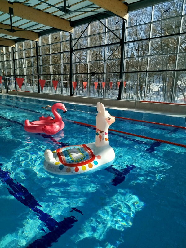 img-20250218-132552-2