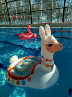 img-20250218-132646-10