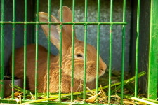 img-2397-559