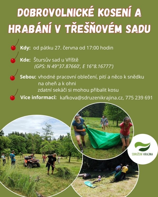 koseni-v-tresnovem-sadu