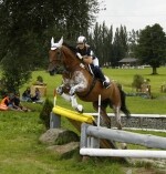 Zlatá podkova - finále seriálu závodů (foto 4)