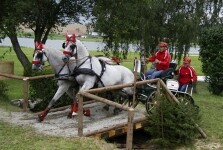 Zlatá podkova - finále seriálu závodů (foto 3)