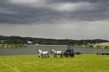 Zlatá podkova - finále seriálu závodů (foto 2)