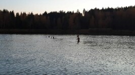 25. úterní otužování s Trip Teamem, z.s. - Černý rybník (foto 6)