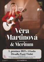 Koncert Věry Martinové s kapelou (foto 3)