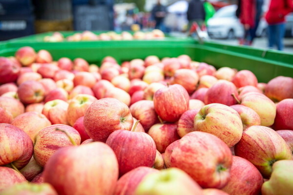 Farmářský trh (foto 1)