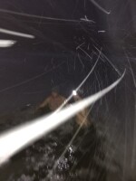 25. úterní otužování s Trip Teamem, z.s. - Černý rybník (foto 9)