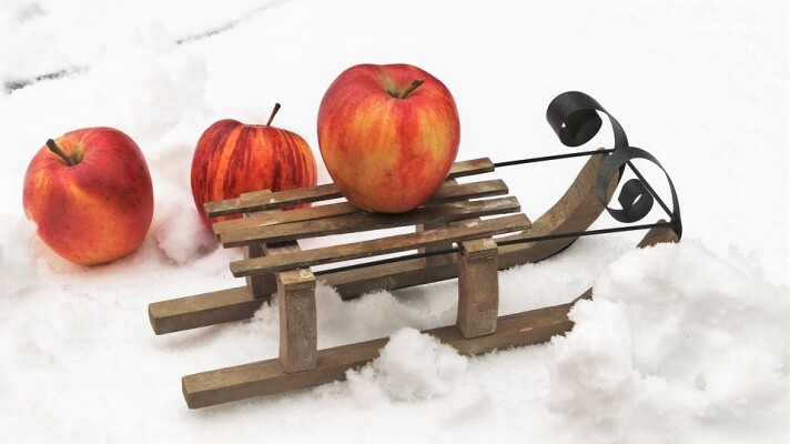 PŘEDNÁŠKA EVY GRÉGROVÉ - BUDOUCNOST PREVENTIVNÍ MEDICÍNY - ZMĚNA PŘÍSTUPU KE ZDRAVÍ (foto 1)