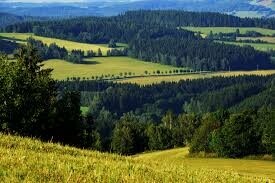 Výstava fotografií Vojtěcha Zikmunda (foto 1)