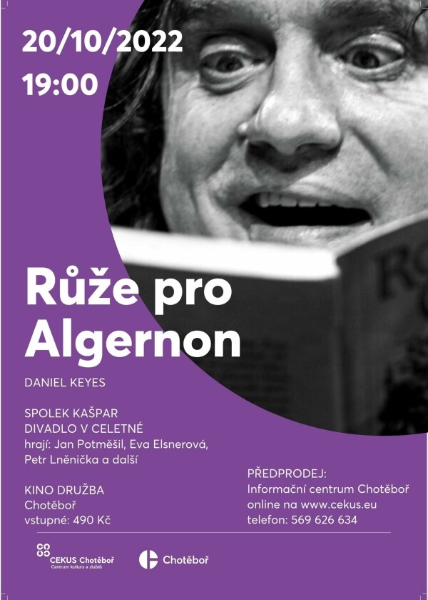 Růže pro Algernon (foto 1)