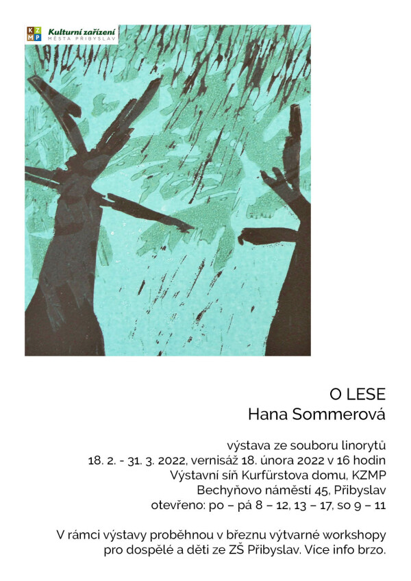Hana Sommerová -  O LESE/výstava (foto 1)
