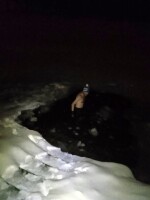 25. úterní otužování s Trip Teamem, z.s. - Černý rybník (foto 18)