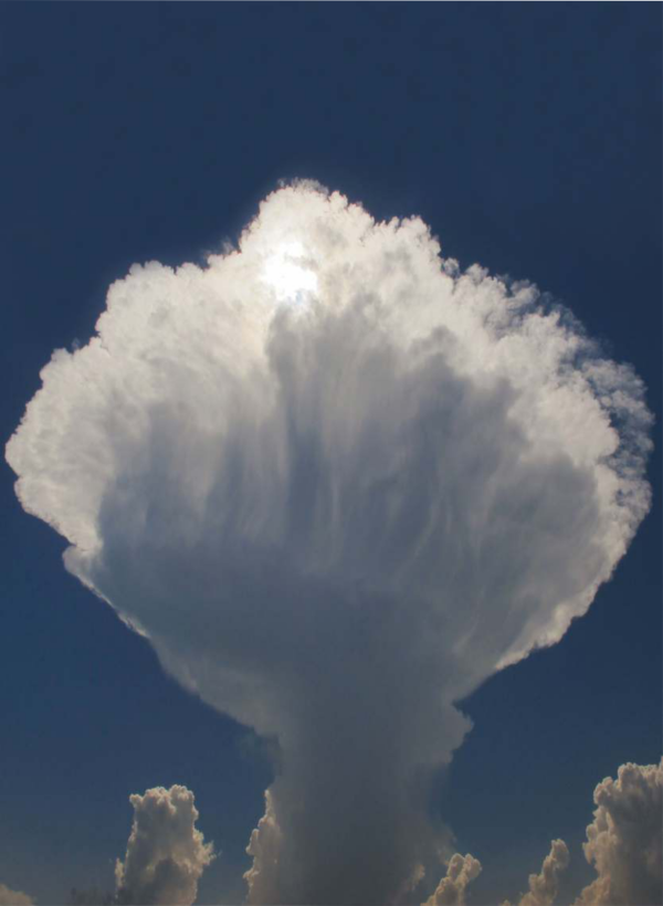 Photographia Natura 2021 (foto 1)