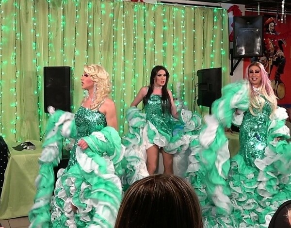 TRAVESTI DIVOKÉ KOČKY (foto 1)